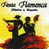 Fiesta Flamenca - Música de España